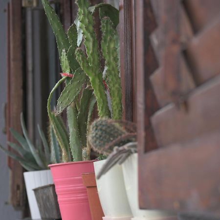 Canyon Matka Nature Apartments With A Terrace 스코페 외부 사진
