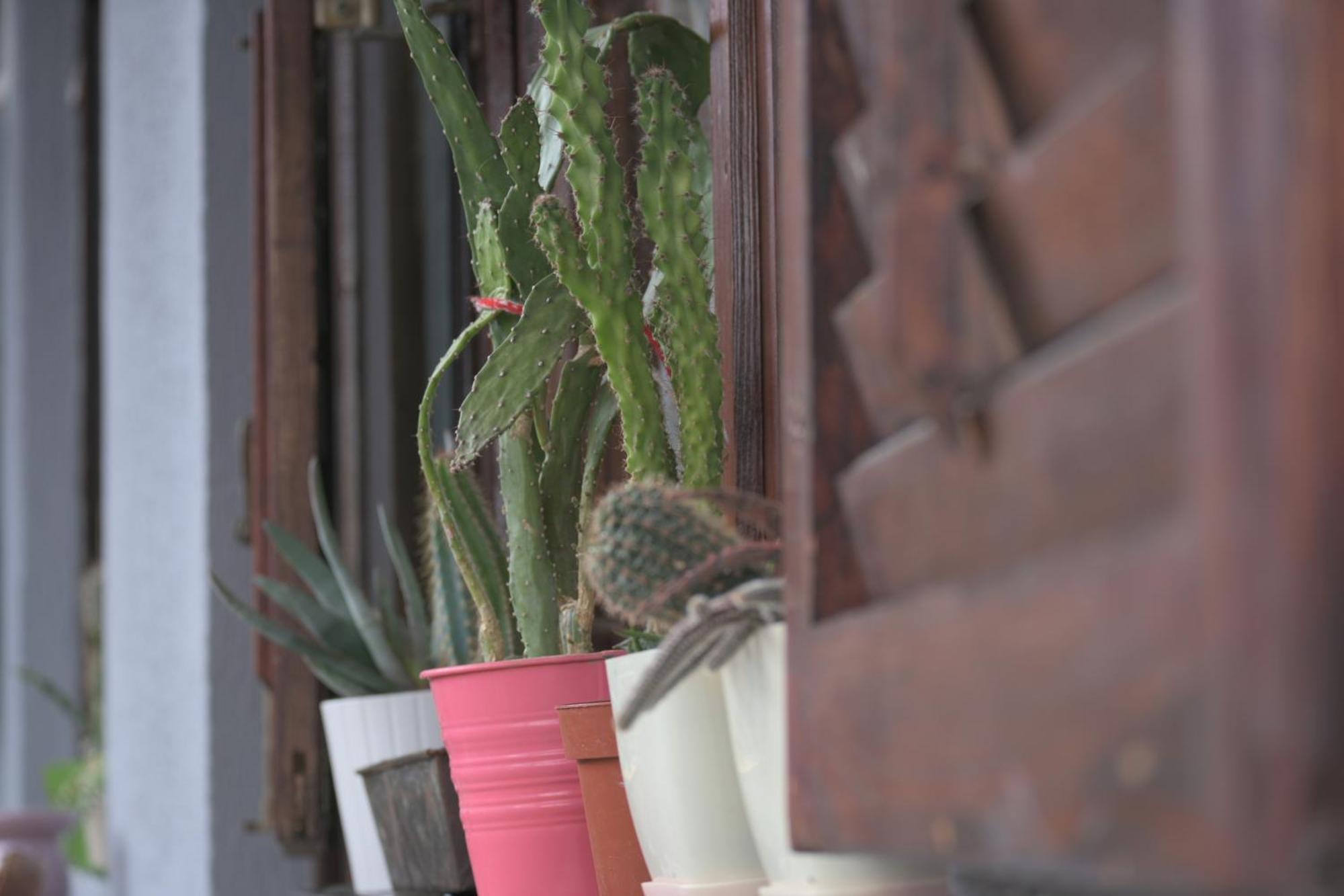 Canyon Matka Nature Apartments With A Terrace 스코페 외부 사진